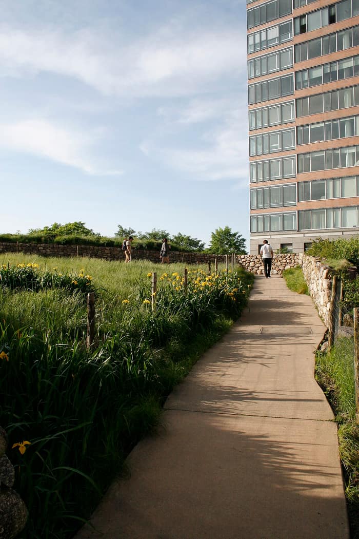 Accessible concrete paths winding up the green hill of the Irish Hunger Memorial