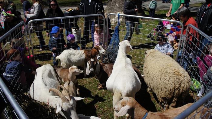 Families gathered at an Easter egg hunt at the Conference House in Tottenville