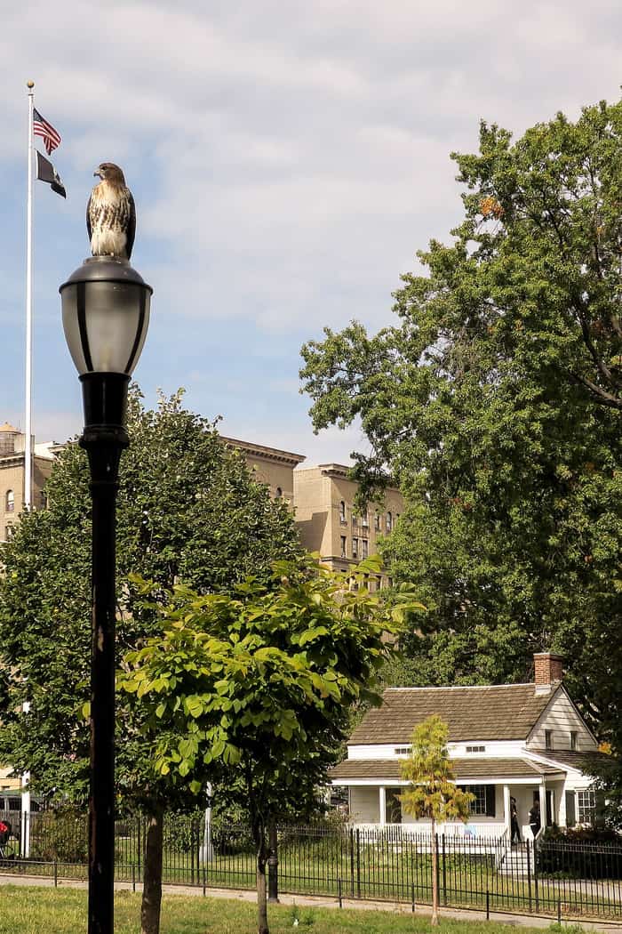 Otra vista de la casa de Edgar Allan Poe y su porche