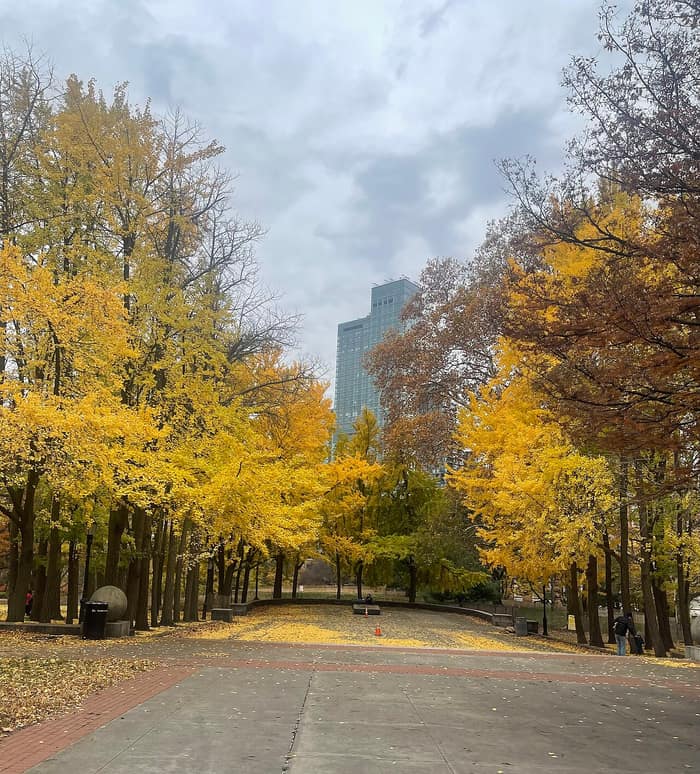 Fort Greene Park en otoño